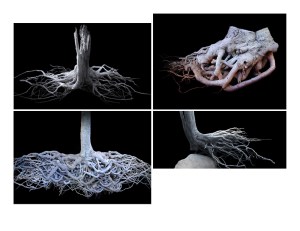 Alvaro Montagna's artwork