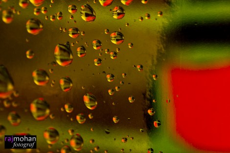 Artwork by Rajmohan Fotograf