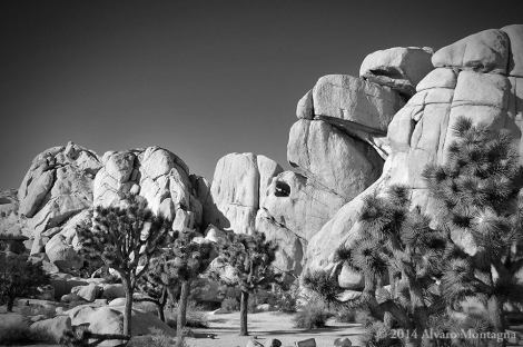 The desert beautifully pictured by Alvaro Montagna